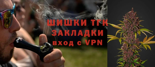 сатива Беслан