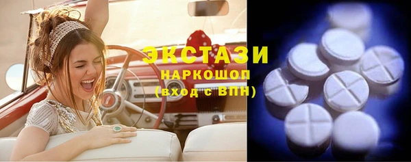 индика Бикин