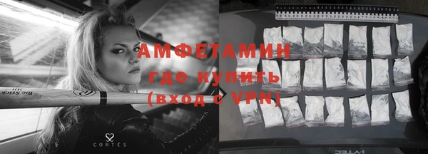 индика Вяземский