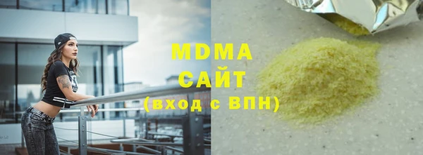 индика Бикин