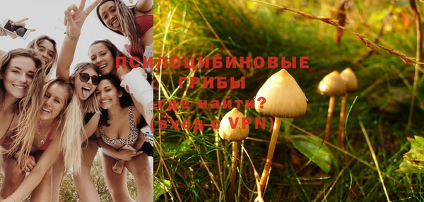 2c-b Болохово