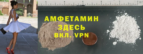 индика Вяземский