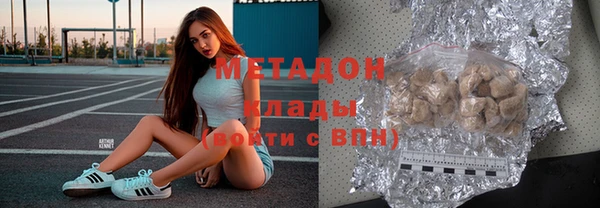 индика Бикин