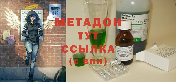 индика Вяземский