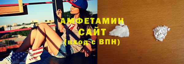 сатива Беслан