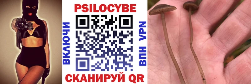 что такое   Гороховец  Псилоцибиновые грибы Psilocybine cubensis 
